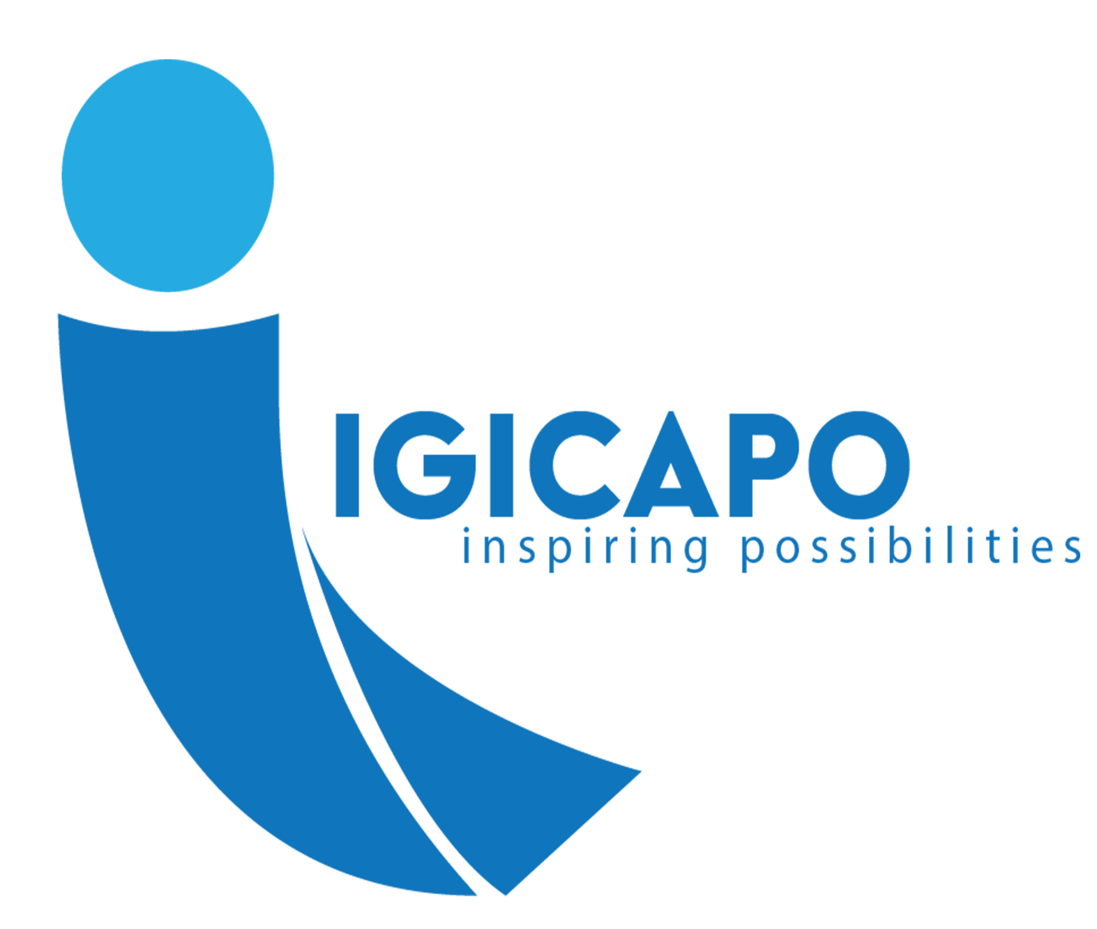 Igicapo LLC